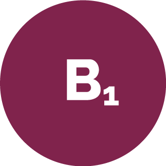 B1