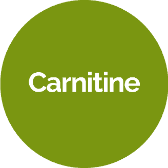 carnitine