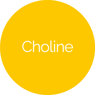 choline